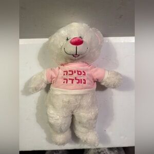 Hebrew Pink Teddy Bear "A
Princess Was Born"